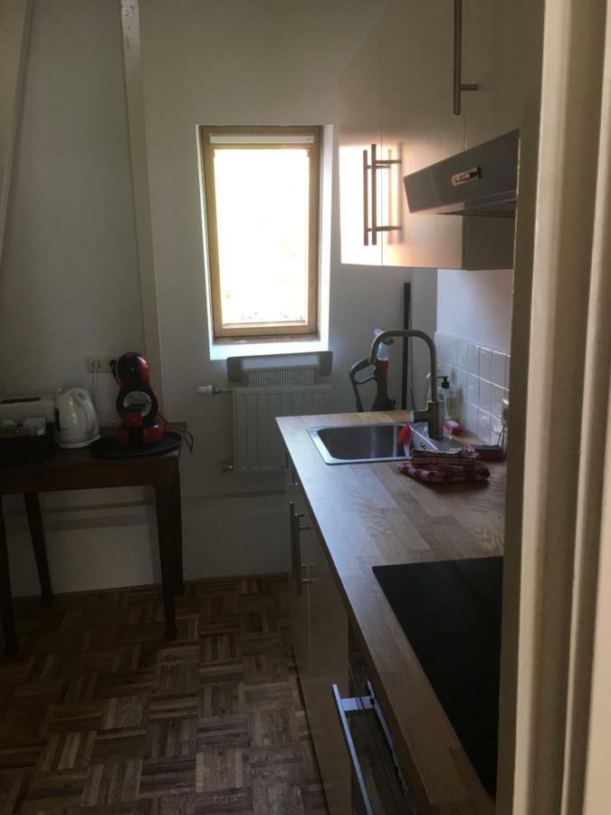 Pied A Terre Oostersingel Umcg Apartment Хронинген Екстериор снимка